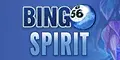 Bingo Spirit image