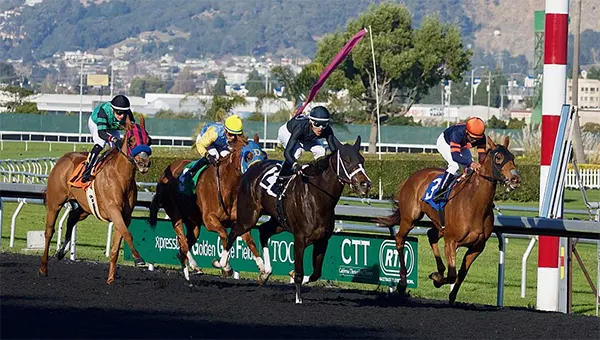 Horse racing at Golden Gate Fields, 2017