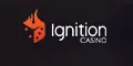 ignition image