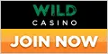 wild casino image