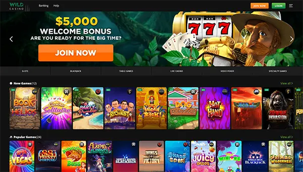 wild casino review home image